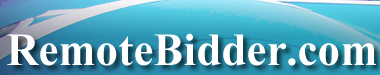 remotebidder logo i-bidder_panel1